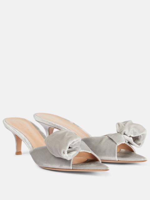 Gianvito Rossi 55 bow-detail velvet mules