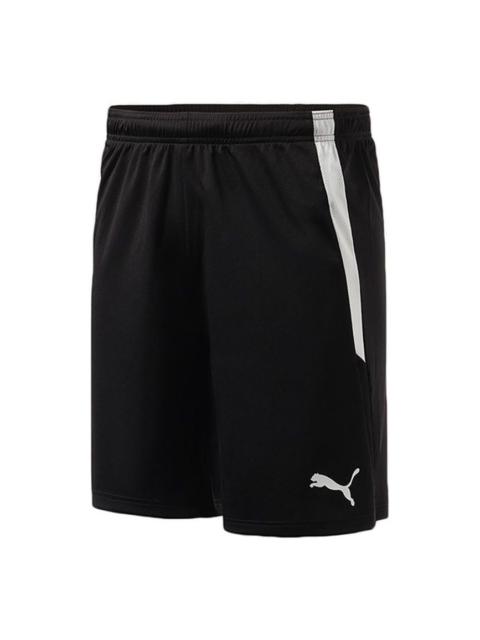 PUMA PUMA Team Liga Shorts 'Black' 704924-03