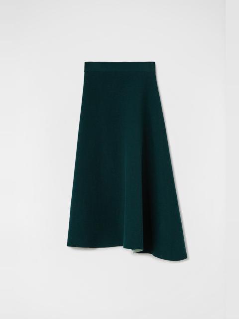 Asymmetrical Skirt