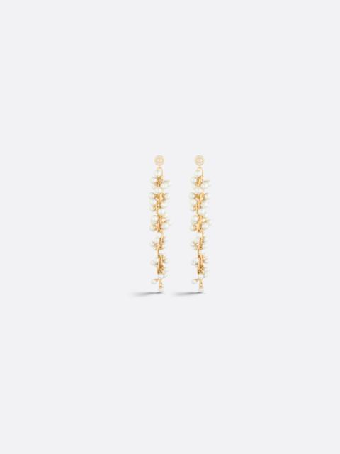 Dior TorsaDior Earrings