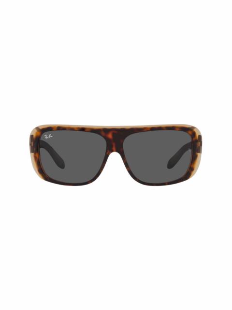 Ray-Ban Blair sunglasses