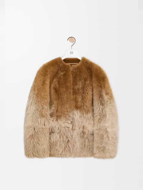 Loewe Jacket in shearling