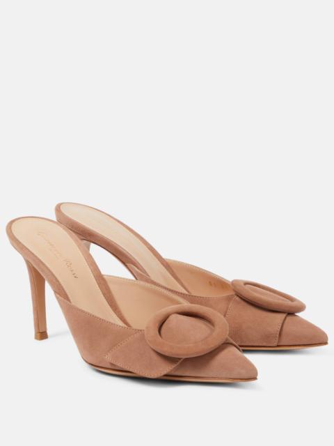 Gianvito Rossi Suede mules