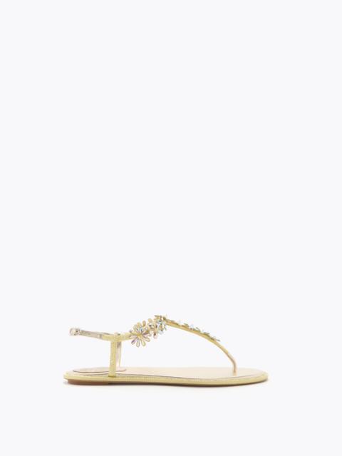RENE CAOVILLA EVA YELLOW THONG SANDAL 10