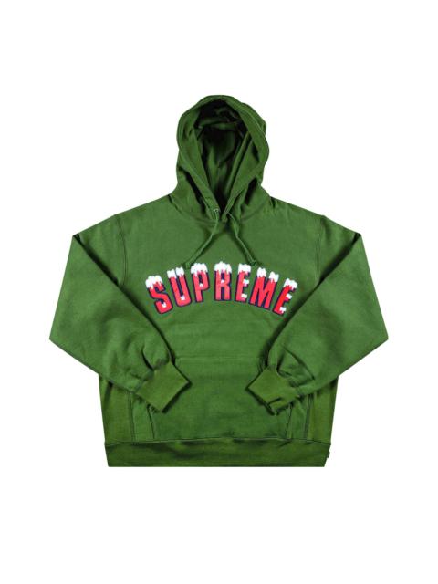 Supreme Supreme Icy Arc Hooded Sweatshirt 'Green'