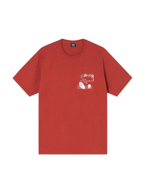 Stussy Desert Sky T-Shirt 'Brick'