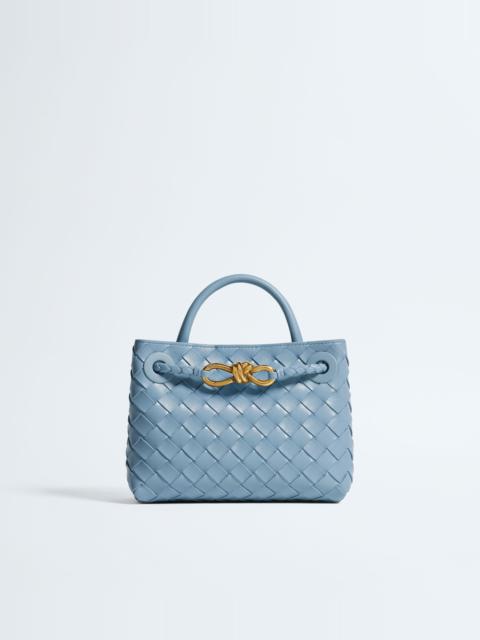 Bottega Veneta Mini Andiamo
