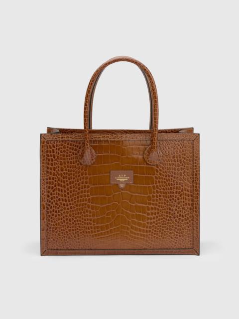 ATP ATELIER Montefalcione Cannella Printed Croco Book bag