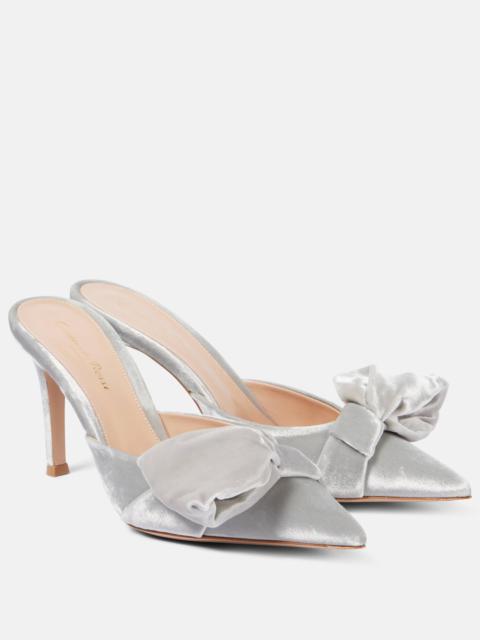 Gianvito Rossi 85 활 detail 벨벳 mules