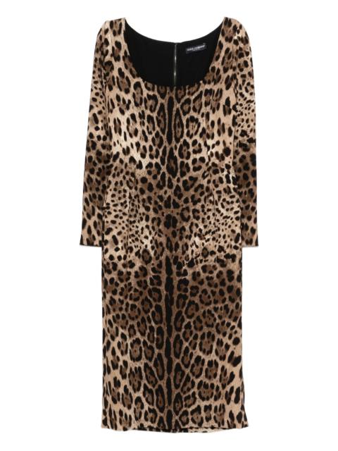 Dolce & Gabbana Animal-print Dress
