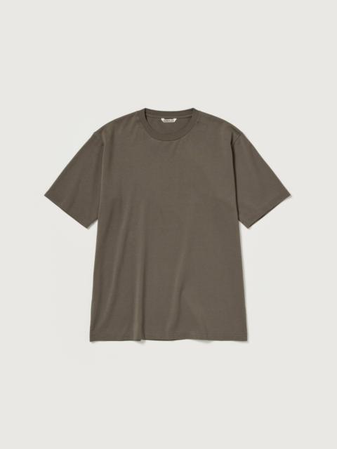 AURALEE LUSTER PLAITING TEE