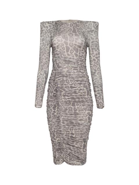 Paityn Shirred Dress