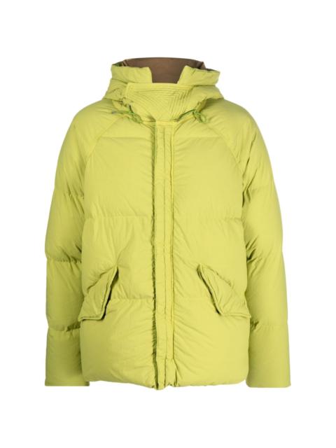 Artic padded down jacket