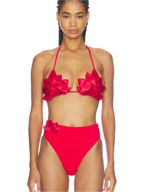 FARM RIO Placed Bikini Top