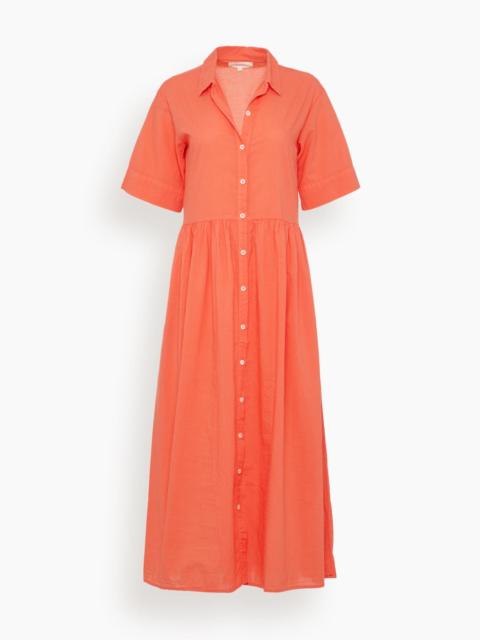 XÍRENA Dayton Dress in Sugar Poppy