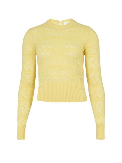 Sportmax Briose sweater