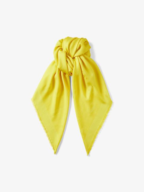 JIMMY CHOO Emani
Acid Yellow Silk and Wool Jacquard Shawl