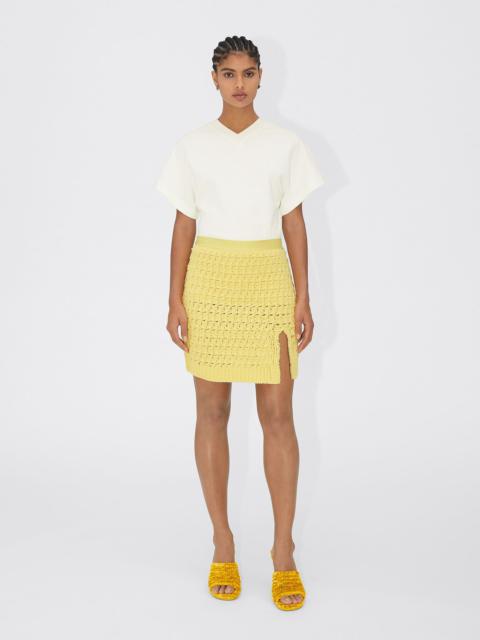 Bottega Veneta skirt
