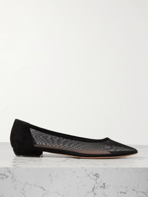 Gianvito Rossi Suede-trimmed mesh point-toe flats Black
