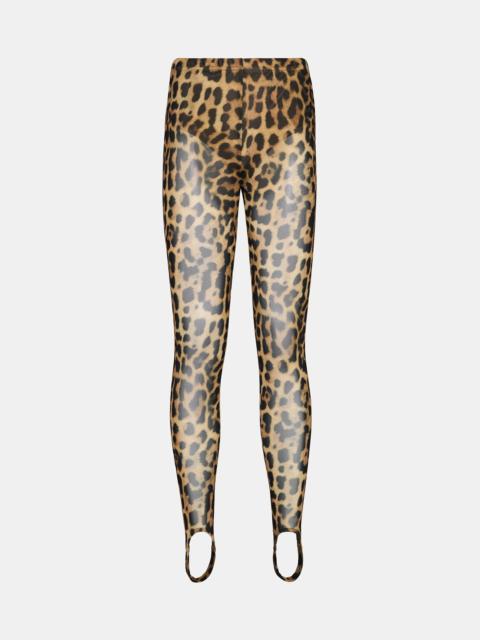 STEVE MADDEN SANDRINE PANT HOT SPOTS PRINT