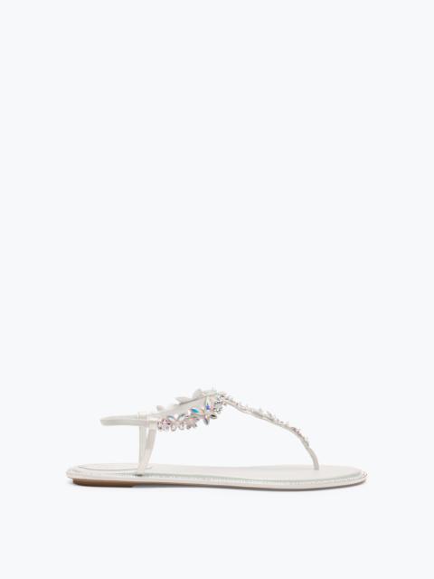 RENE CAOVILLA EDEN IVORY THONG SANDAL 10