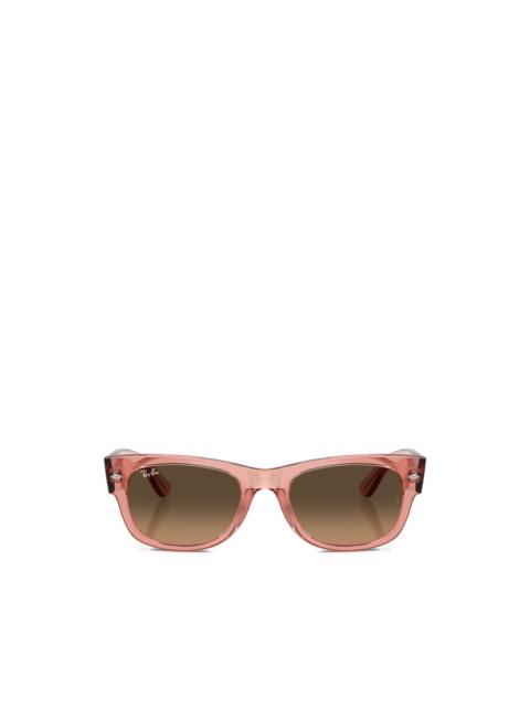 Ray-Ban browline sunglasses