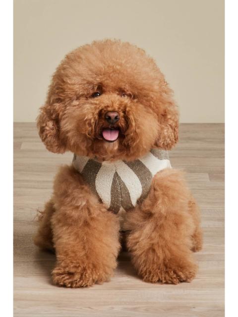 Barefoot Dreams CozyChic® Cotton Classic Stripe Pet Sweater
