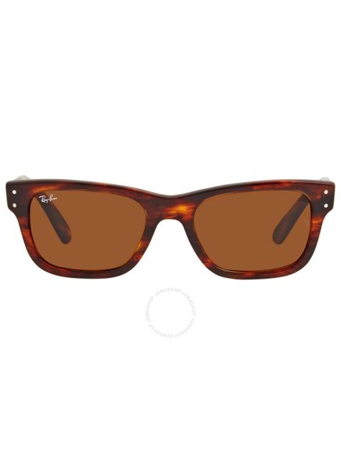 Ray-Ban Ray Ban Burbank Brown Rectangular Men's Sunglasses RB2283 954/33 55