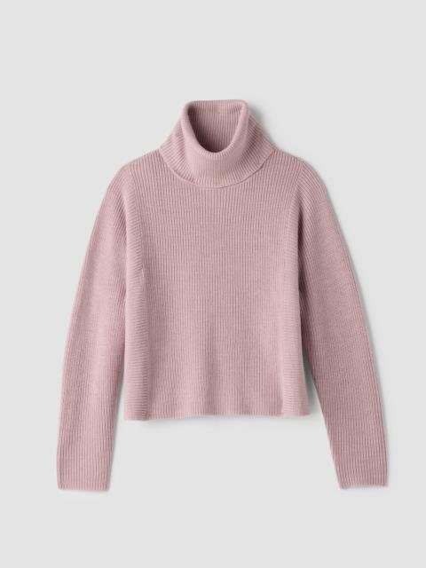 EILEEN FISHER Italian Merino Turtleneck Top in Regenerative Wool