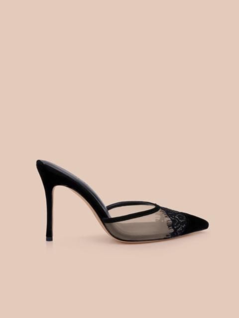 L'AGENCE Semois Mule