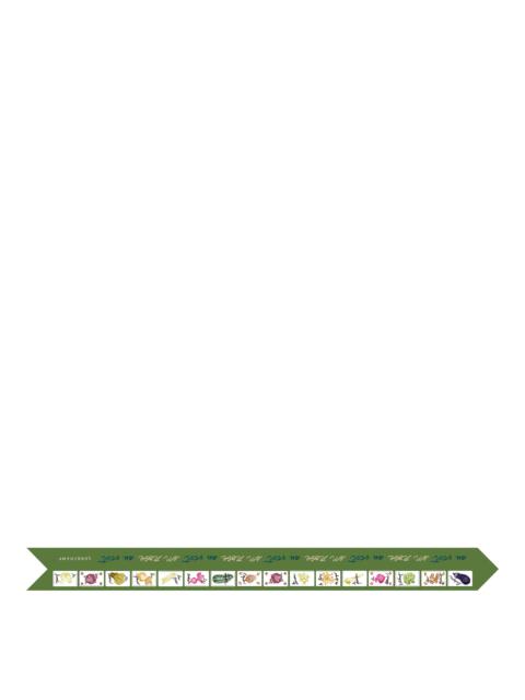 Longchamp Pink and Green Headband Laurel - OTHER