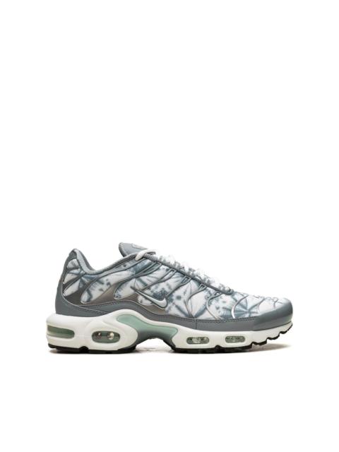 Air Max Plus sneakers