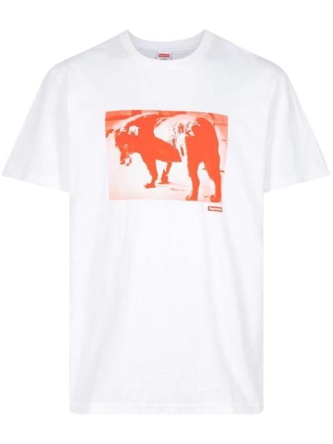 Supreme Daido Moriyama Dog T-shirt
