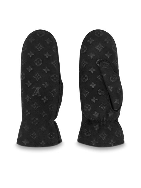 Louis Vuitton Shearlingram Gloves