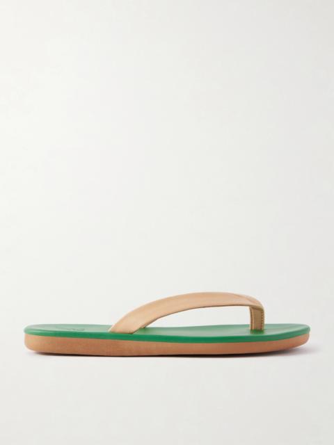 ANCIENT GREEK SANDALS Saionara Leather Flip Flops
