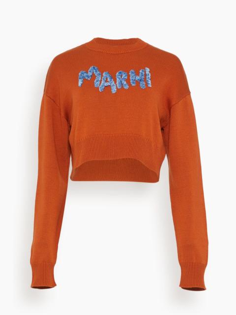 Marni Roundneck Sweater in Apricot