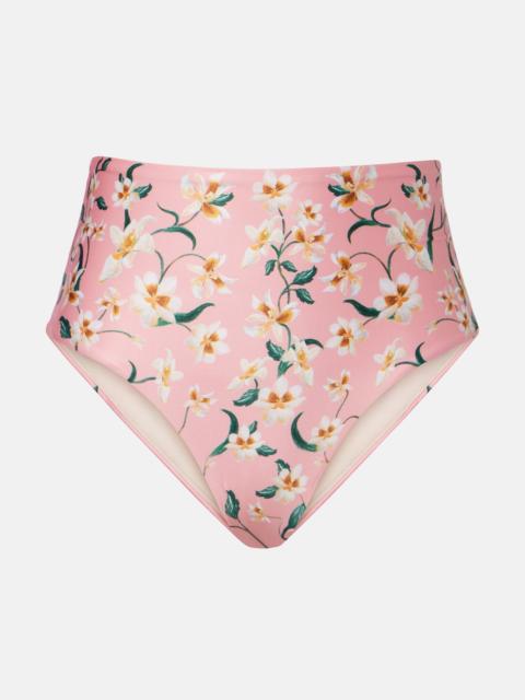 Agua by Agua Bendita Magenta floral bikini bottoms