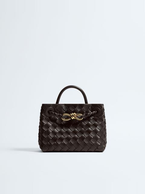 Bottega Veneta Mini Andiamo