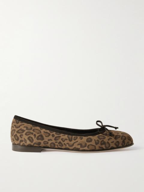 Manolo Blahnik Veralli Bow-detailed Leopard-print Suede Ballet Flats