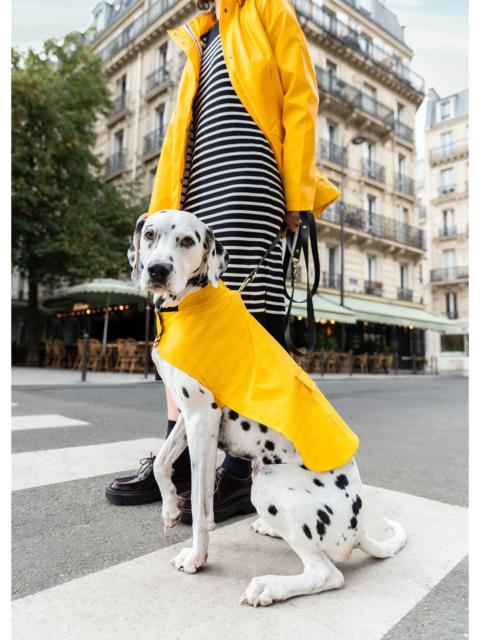 SAINT JAMES PARISIAN PUP Raincoat