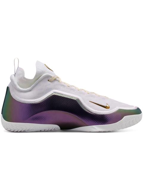 Nike Nike LeBron 23 Elite For The Record