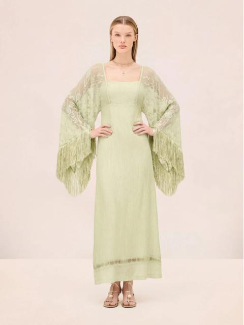 ALEXIS EVIENNE DRESS