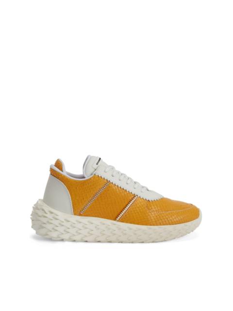 Giuseppe Zanotti Urchin snakeskin-effect sneakers