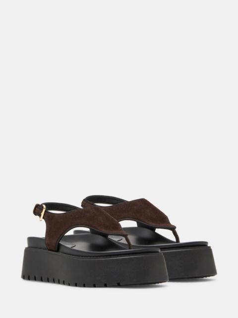 STEVE MADDEN TABOR BROWN SUEDE