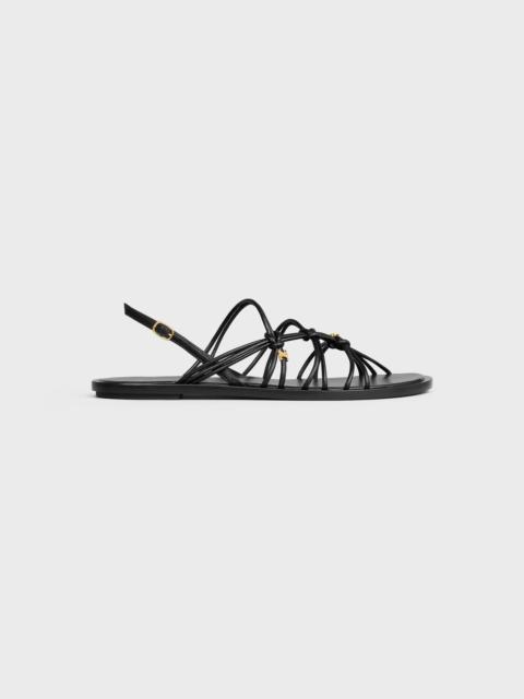 CELINE KNOTS TRIOMPHE FLAT SANDAL IN GOATSKIN