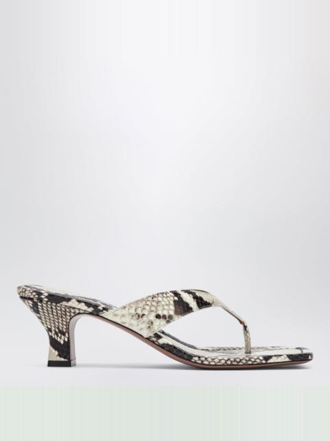 PARIS TEXAS Python-print thong slides
