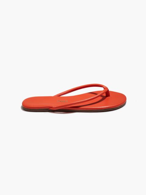 TKEES Tubular Lily