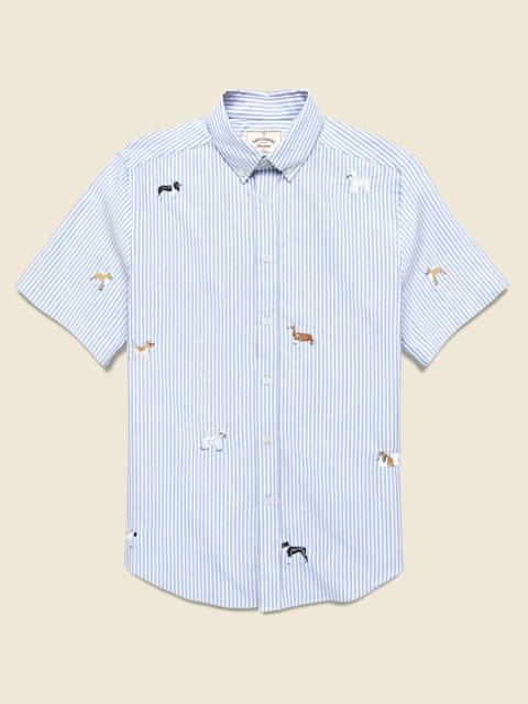 Portuguese Flannel Dogs Oxford Shirt - Blue Stripe