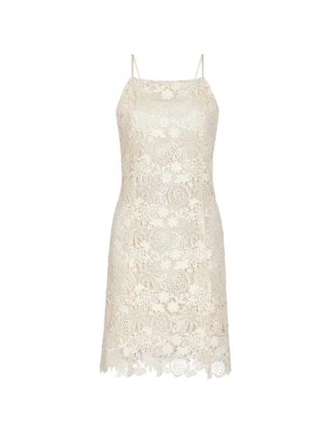 MARIE OLIVER NOAH DRESS