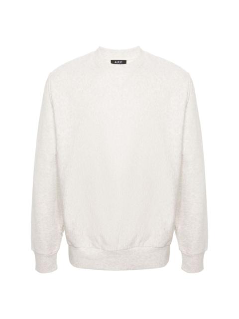 Michael cotton sweatshirt